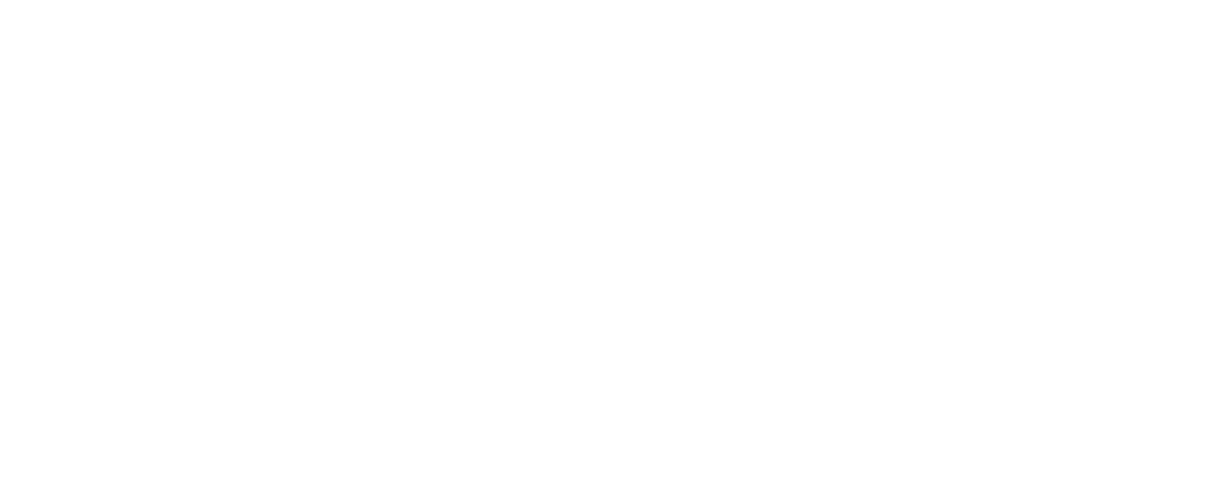 VeriChip Logo