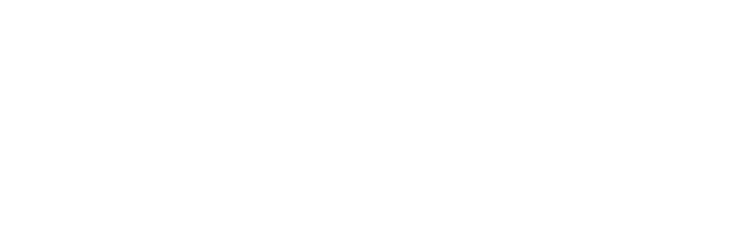 VeriChip